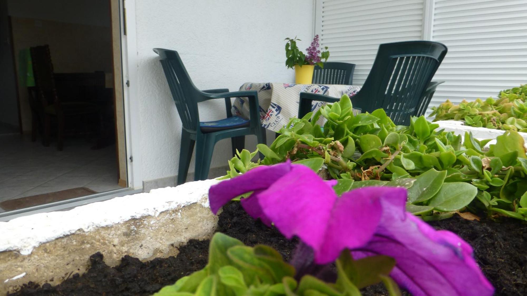 Apartments Tanja & Boris บัชกา ห้อง รูปภาพ