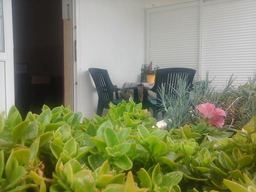 Apartments Tanja & Boris บัชกา ห้อง รูปภาพ